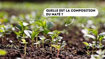 composition maté