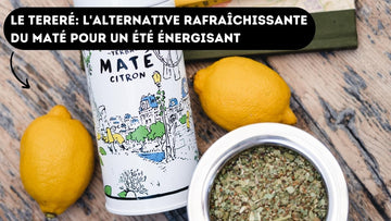 tereré maté