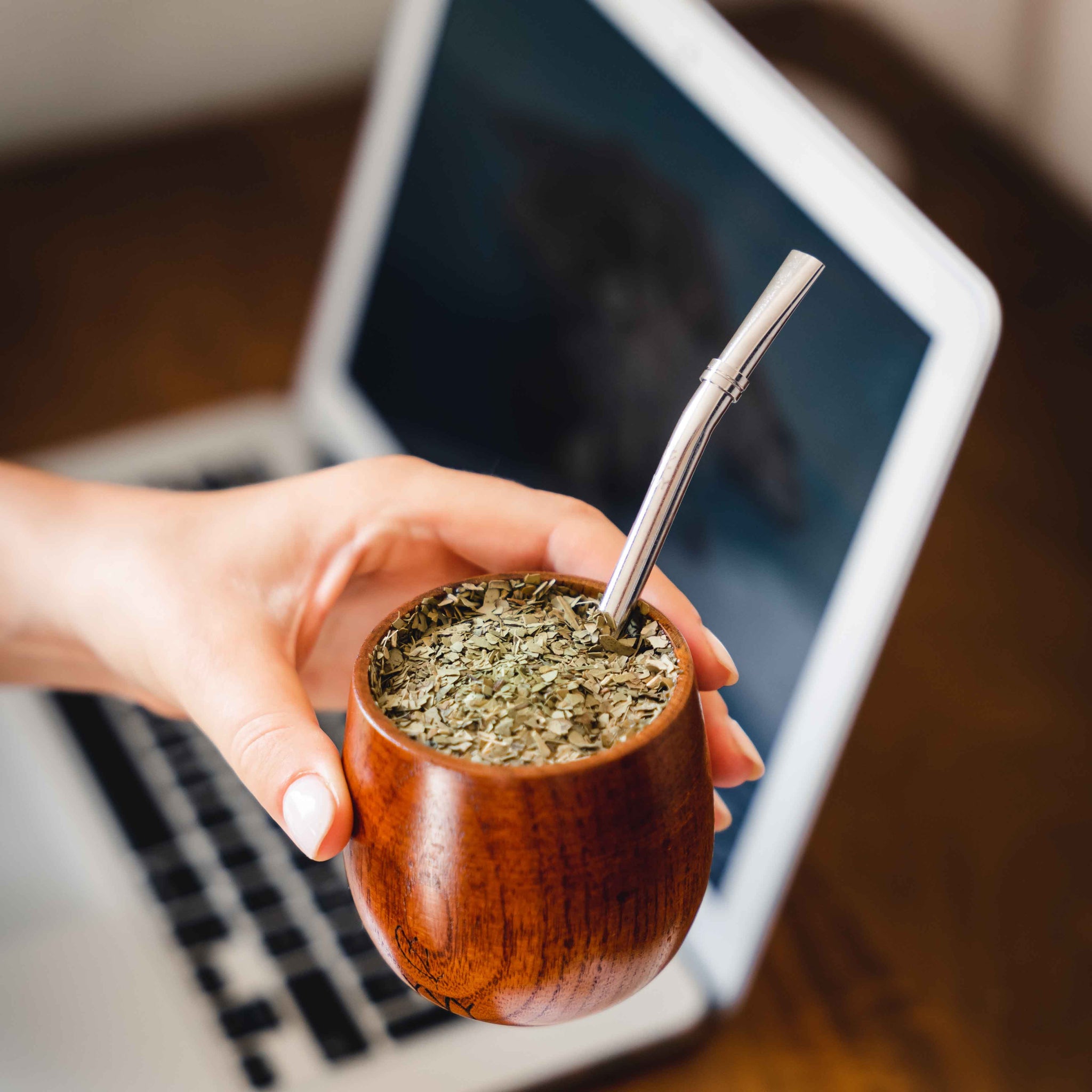 kit maté découverte