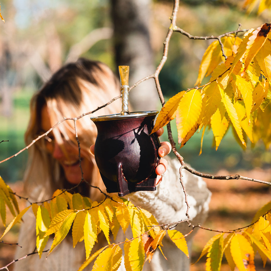 calebasse maté camionero acier artisanale