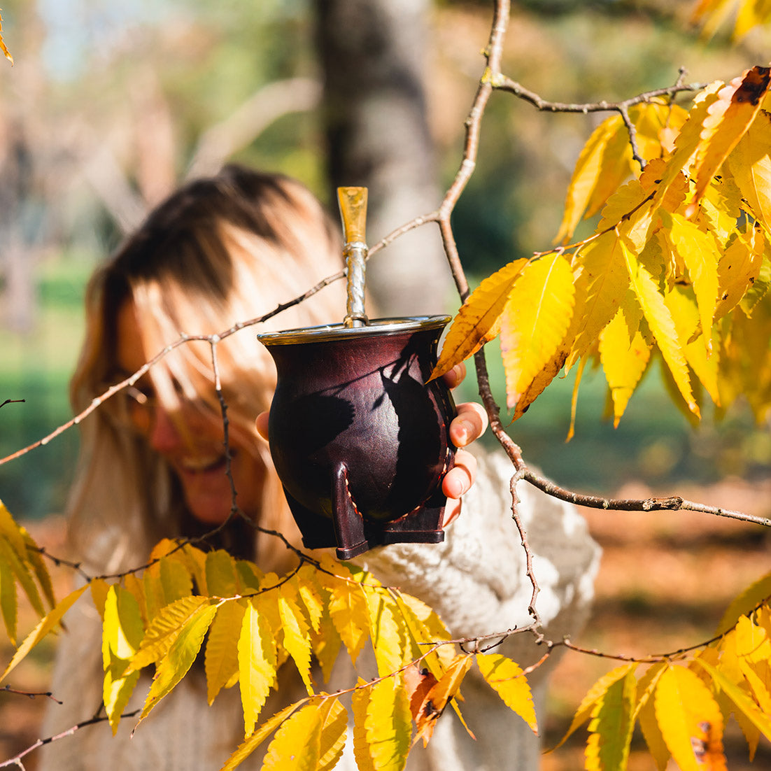calebasse à maté camionero inox