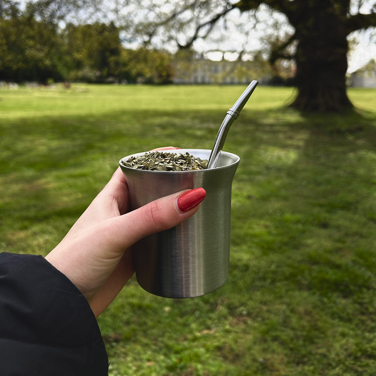 tasse à maté intégrée au thermos tempera