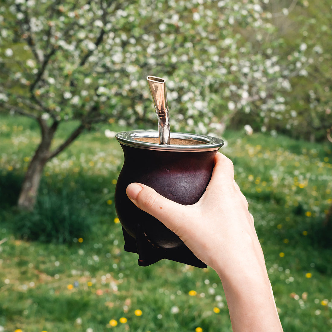 kit maté artisanal calebasse camionero