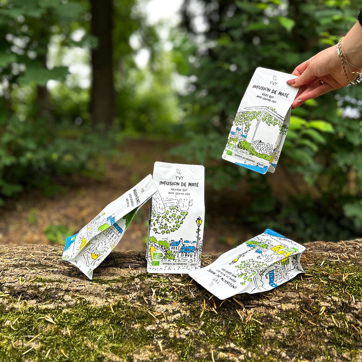 thé maté gamme complète yvy