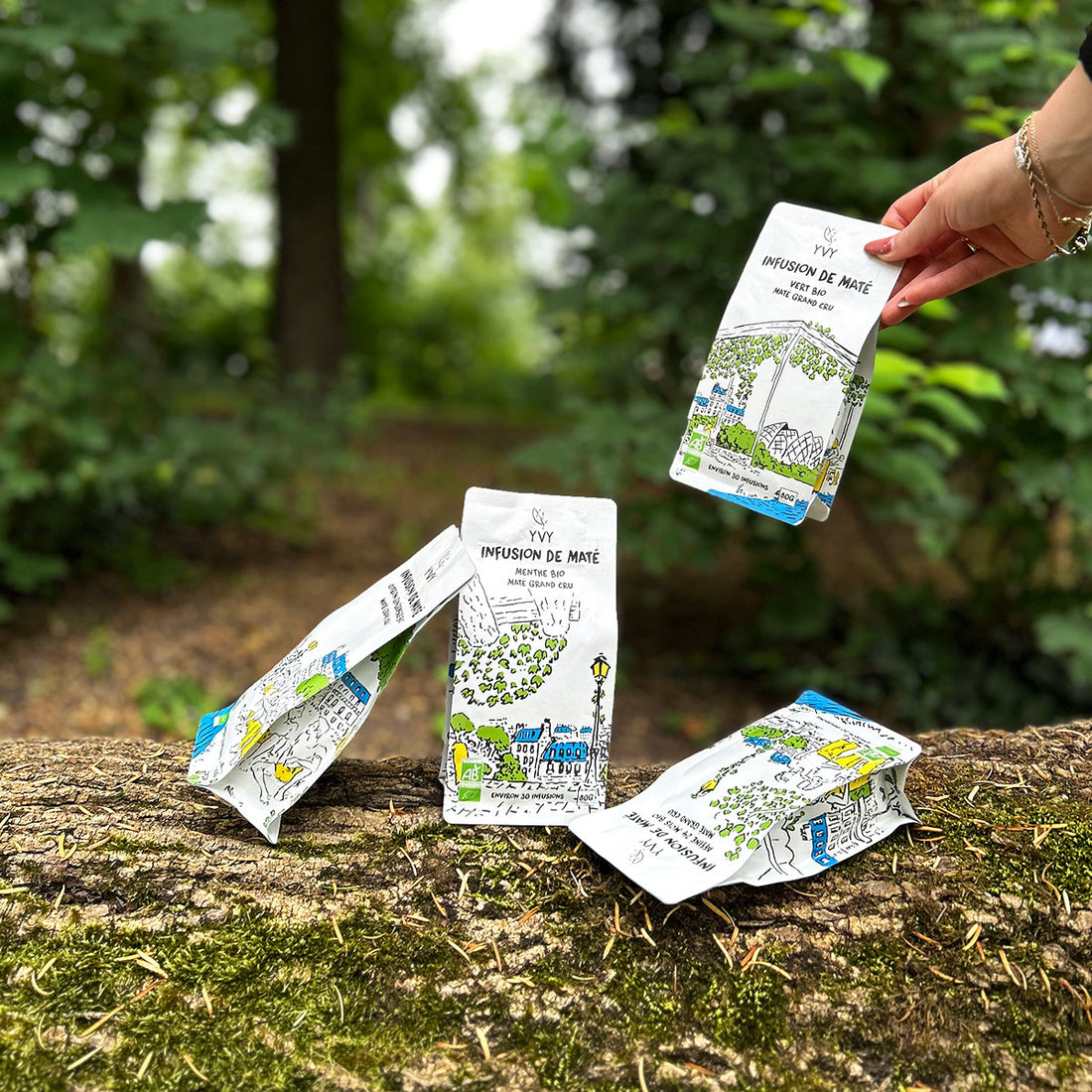thé maté infusion yerba maté affiné 24 mois grand cru