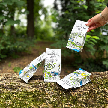 thé maté gamme complète yvy