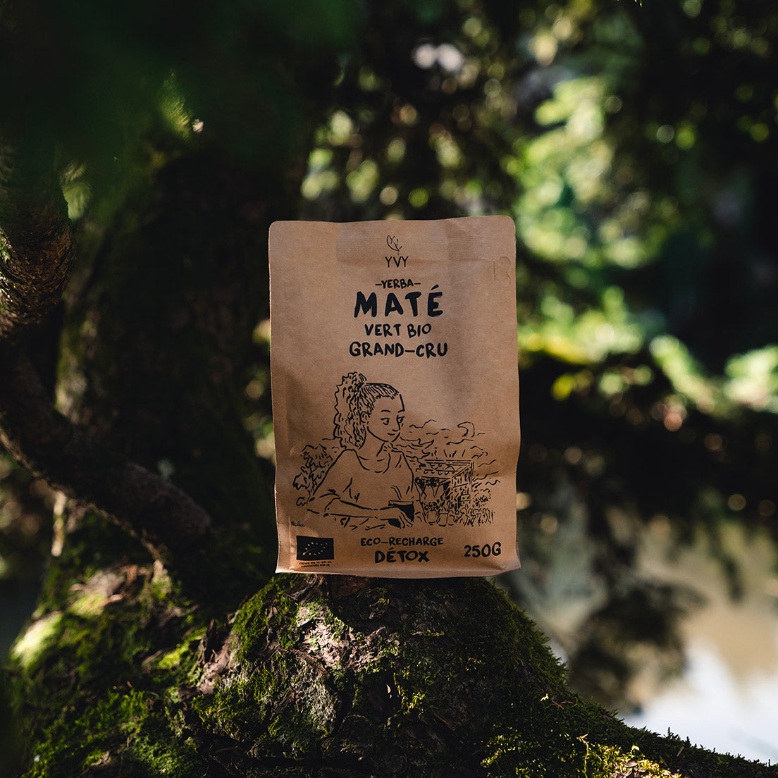 maté vert bio grand cru yerba maté