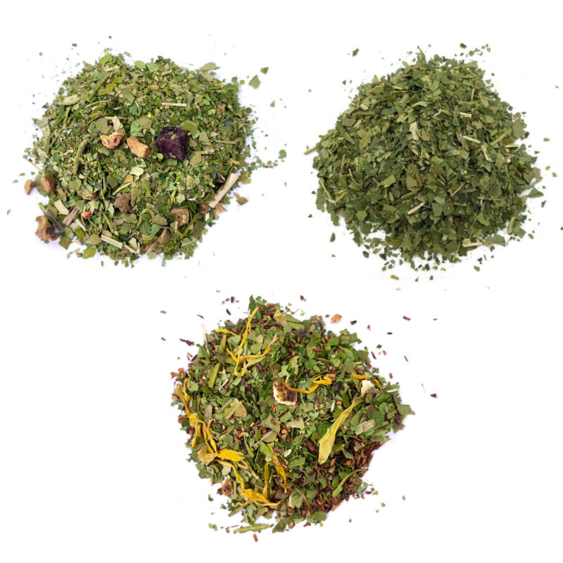 maté fruits tropical citron menthe